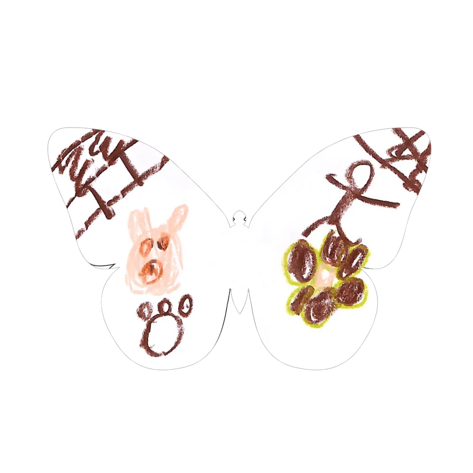 Original Butterfly Image