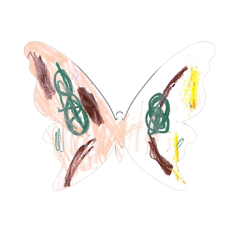 Original Butterfly Image