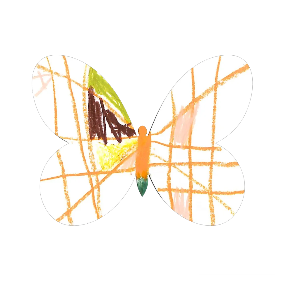Original Butterfly Image