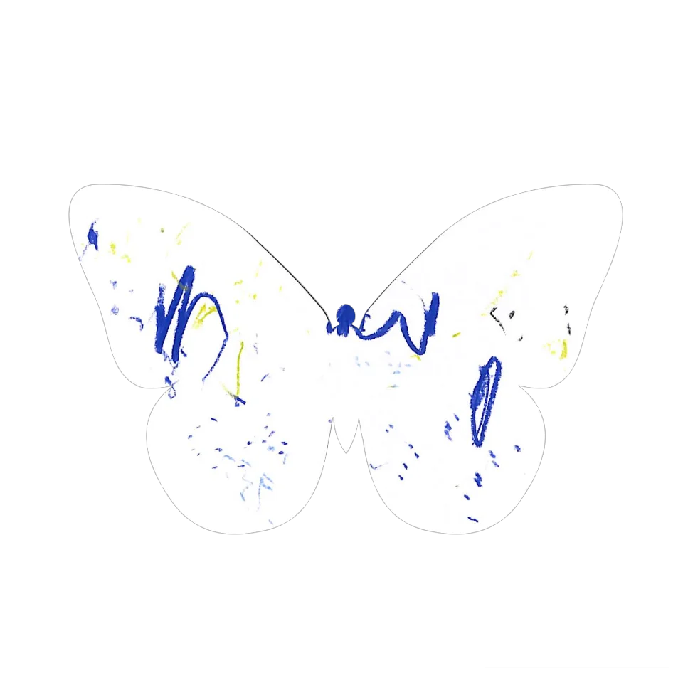 Original Butterfly Image