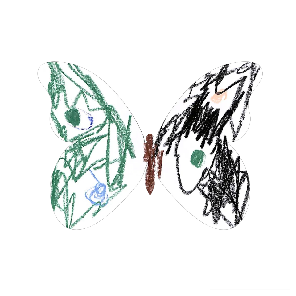Original Butterfly Image