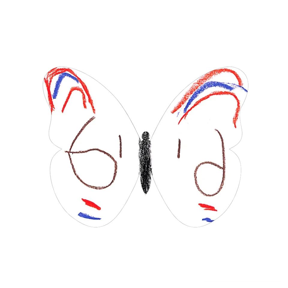 Original Butterfly Image