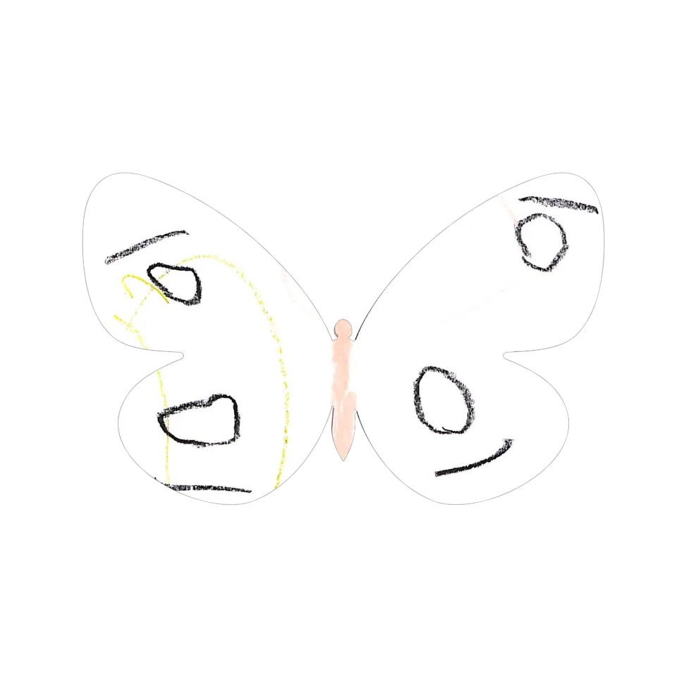 Original Butterfly Image