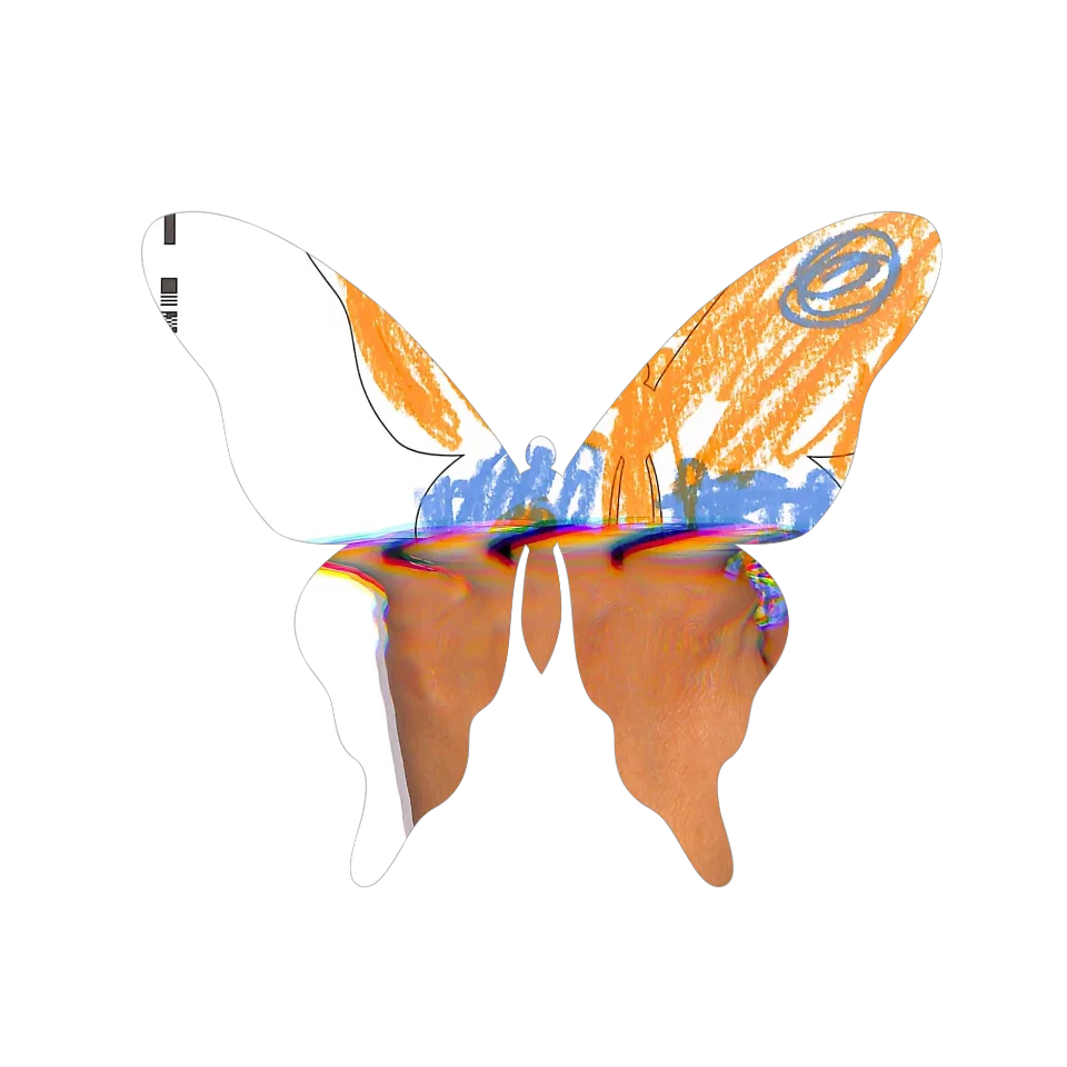 Original Butterfly Image