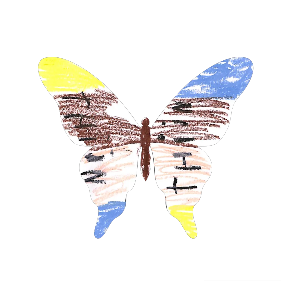 Original Butterfly Image