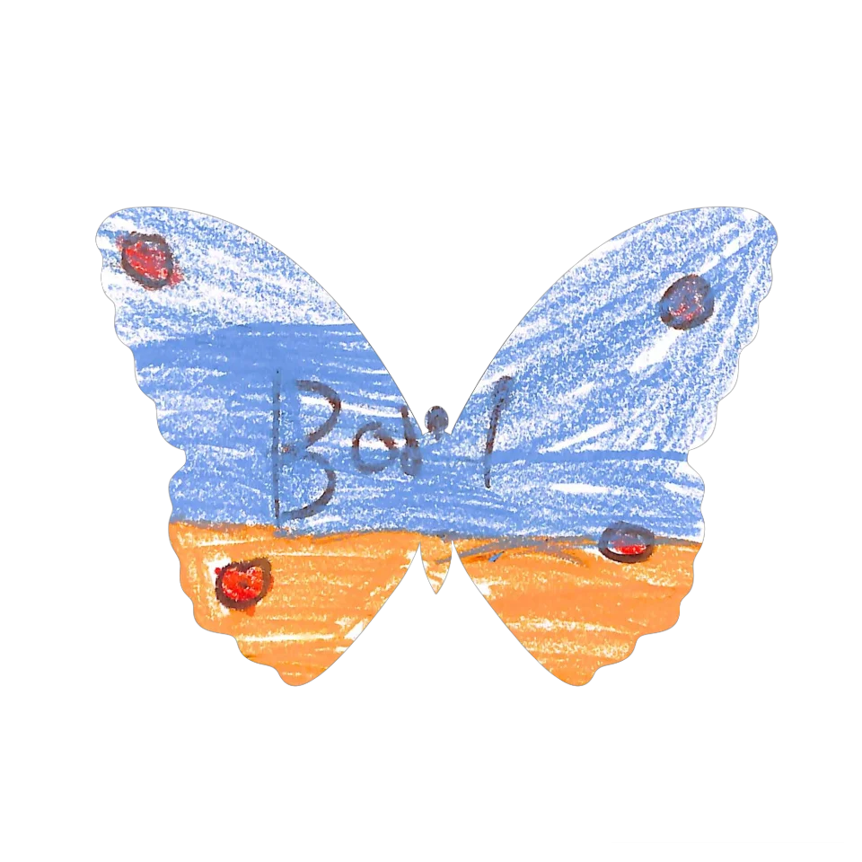 Original Butterfly Image