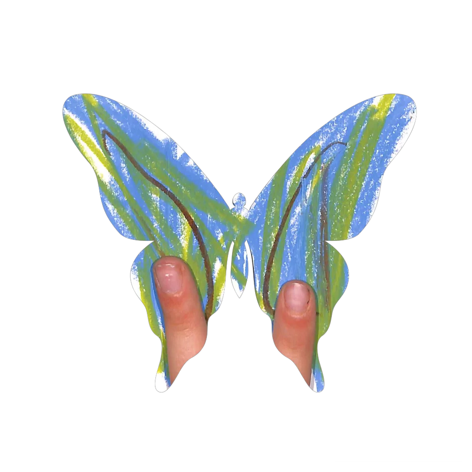 Original Butterfly Image