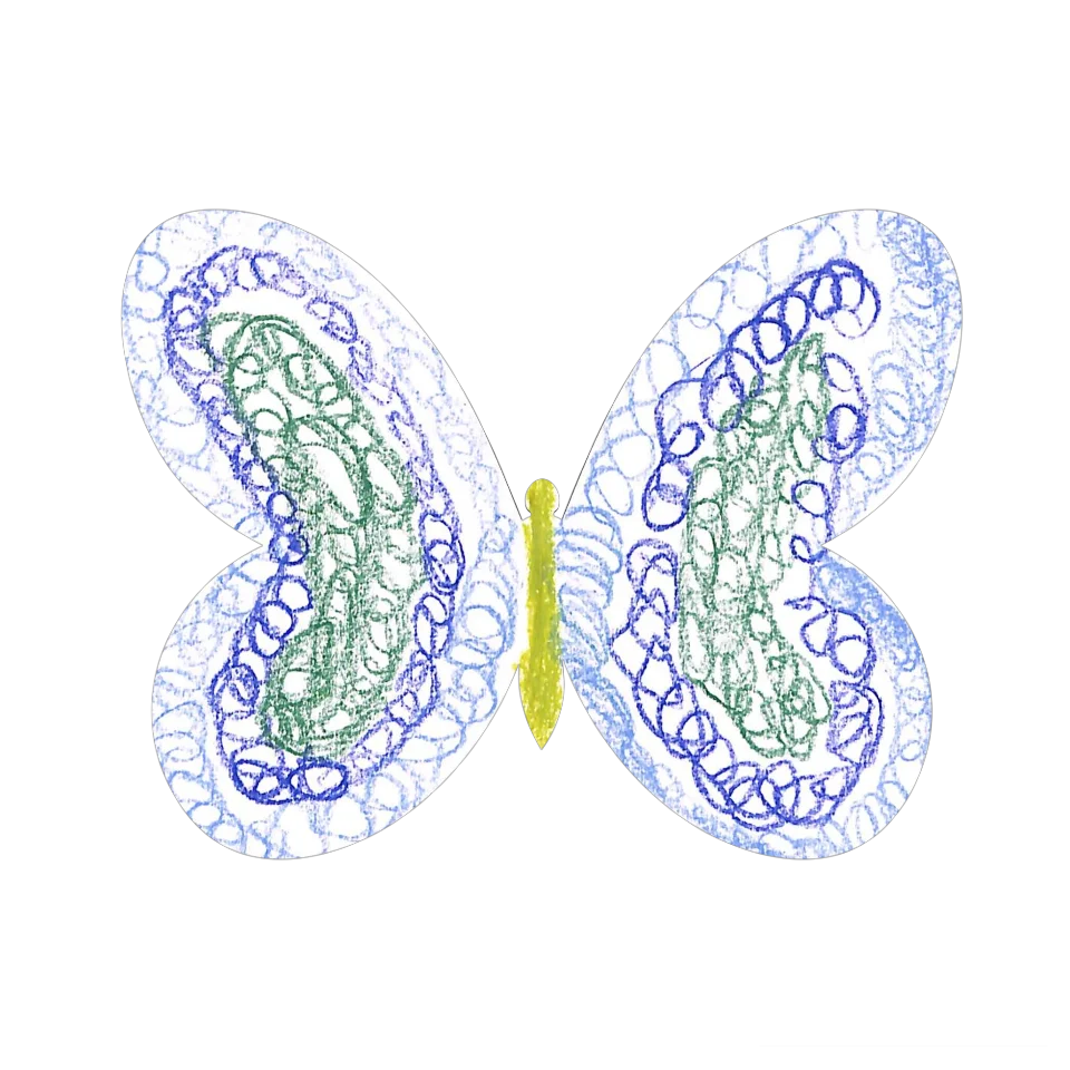 Original Butterfly Image