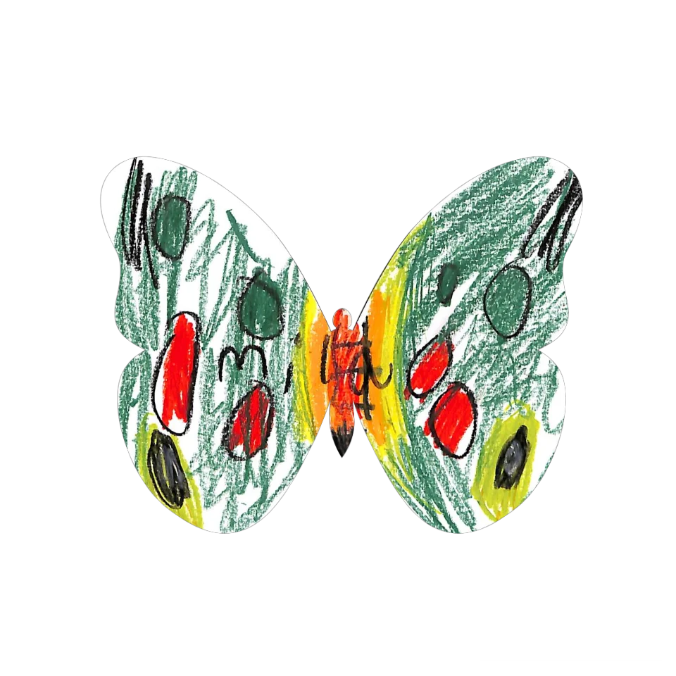 Original Butterfly Image