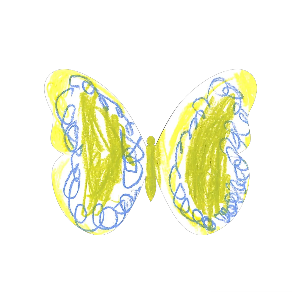 Original Butterfly Image