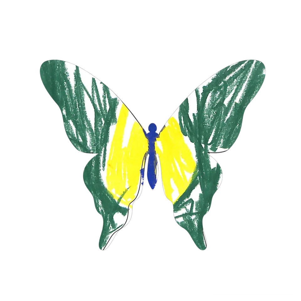 Original Butterfly Image