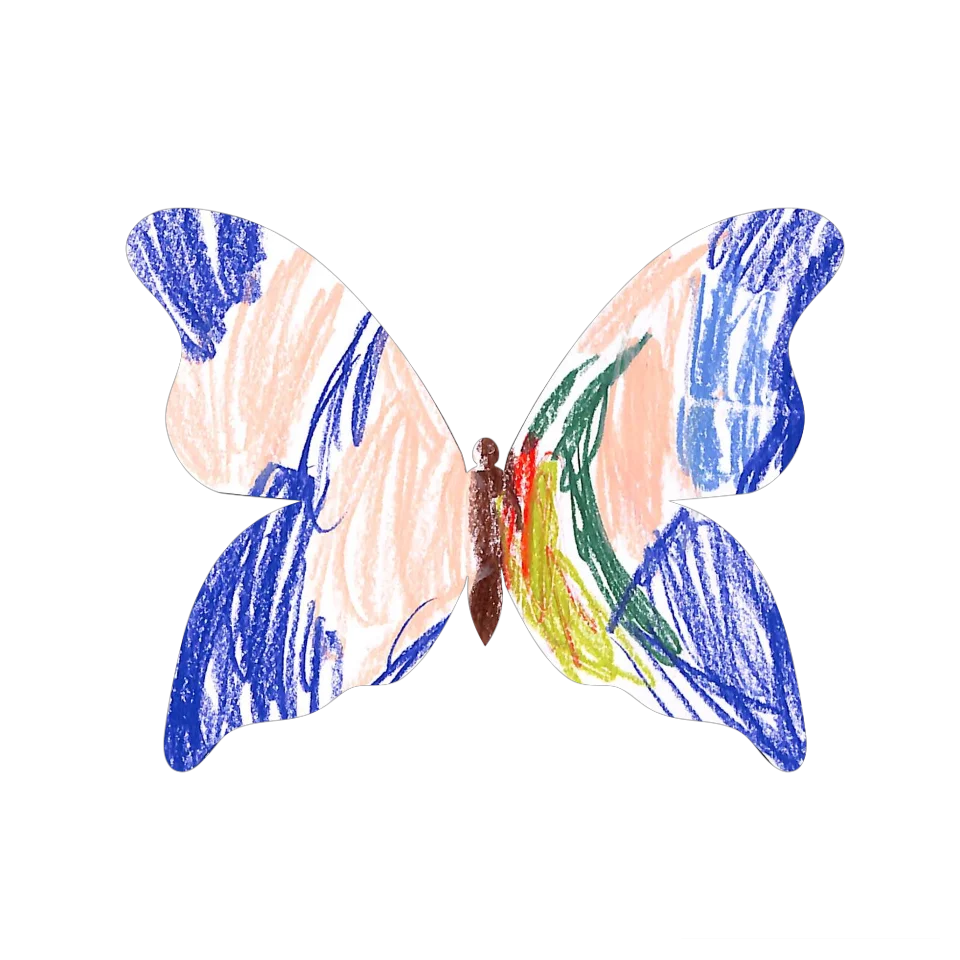 Original Butterfly Image