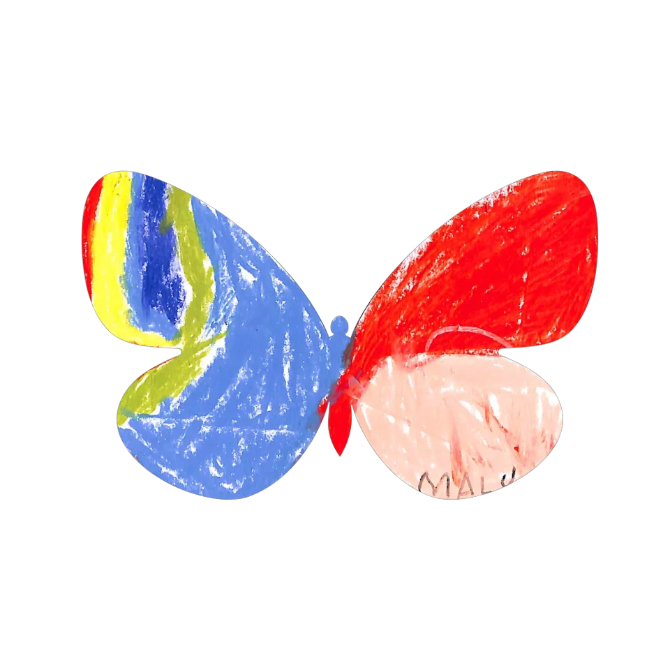 Original Butterfly Image
