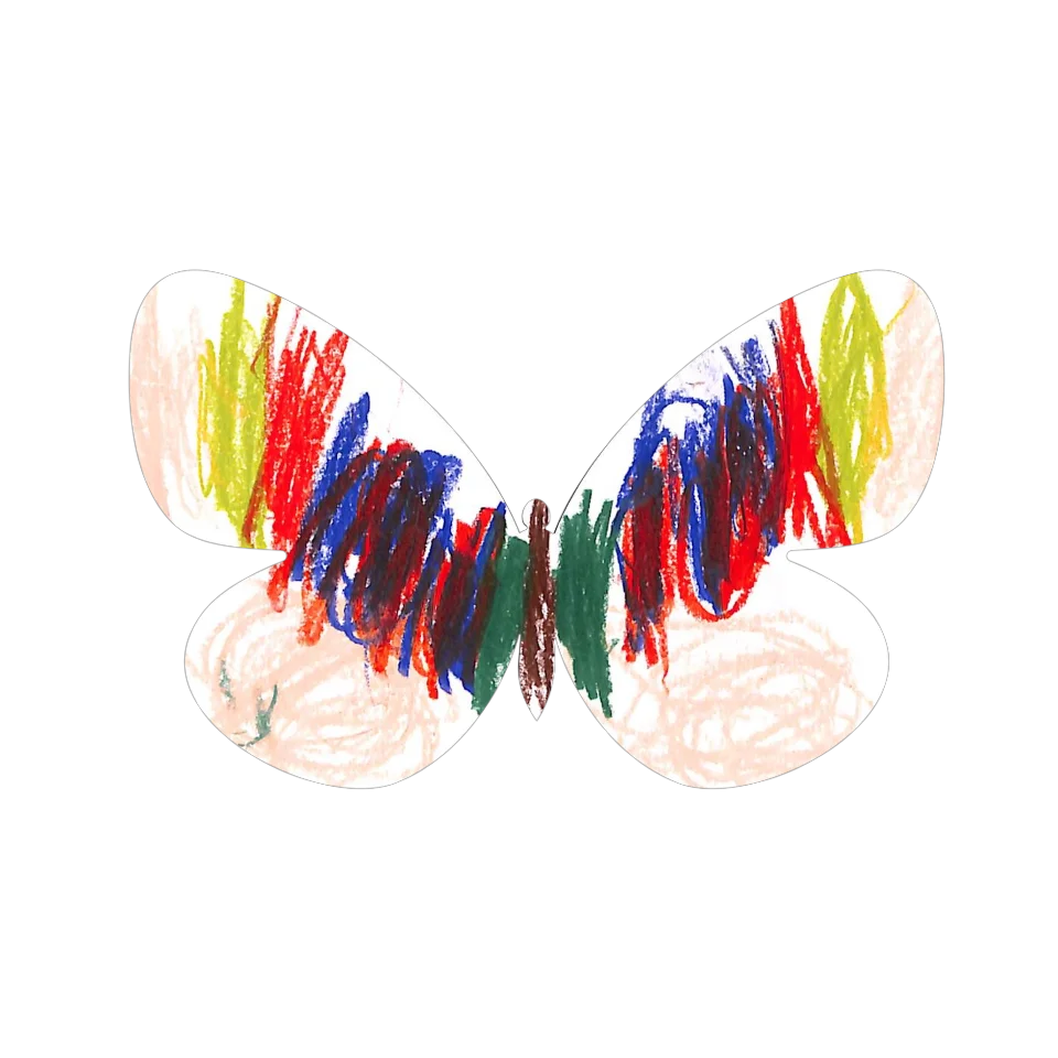Original Butterfly Image