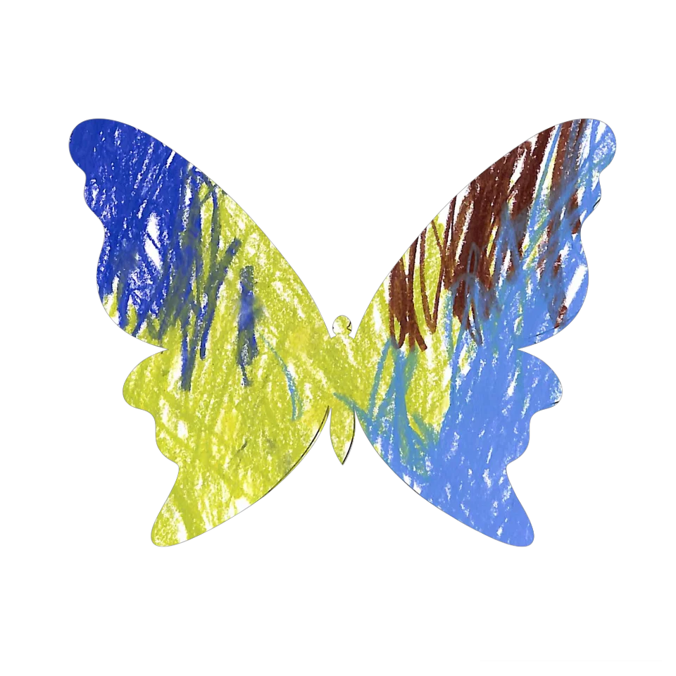 Original Butterfly Image