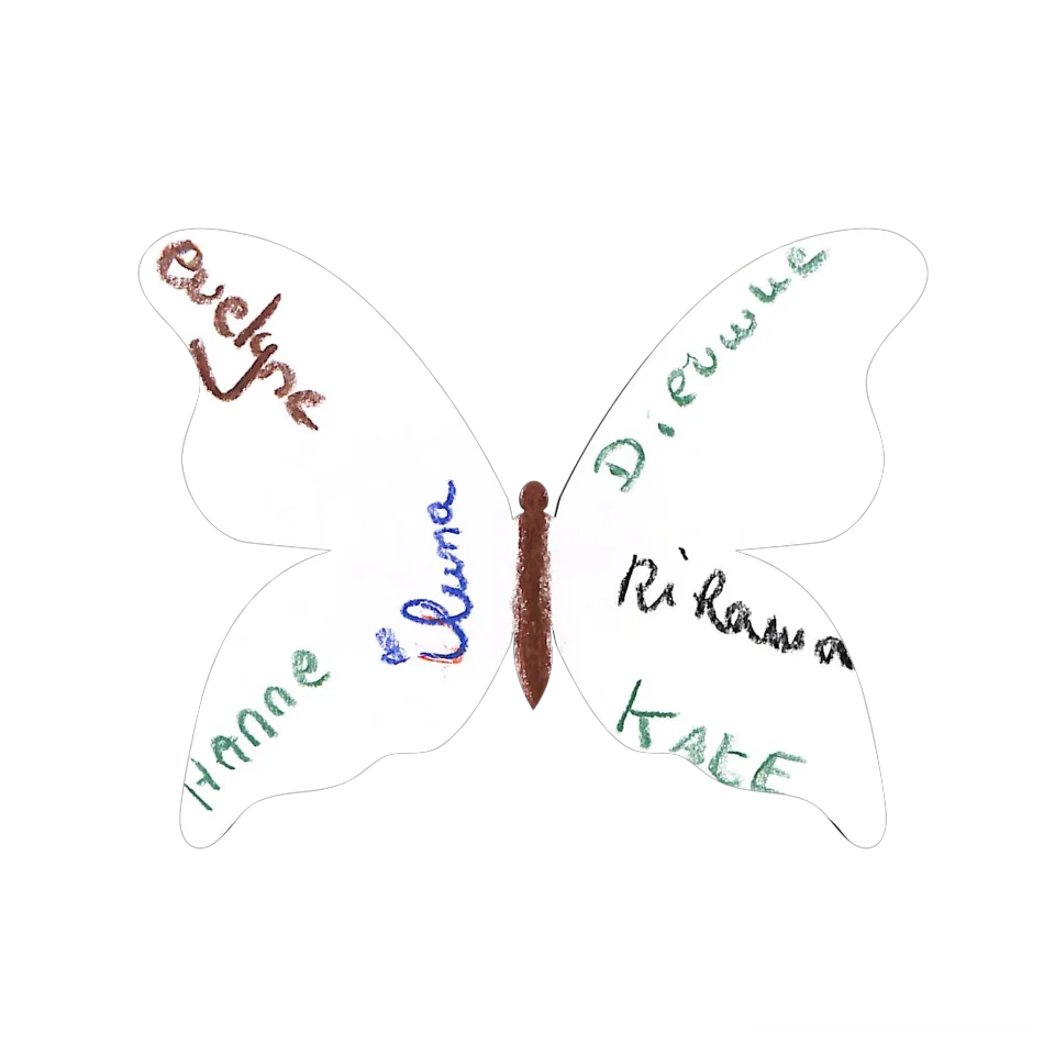 Original Butterfly Image