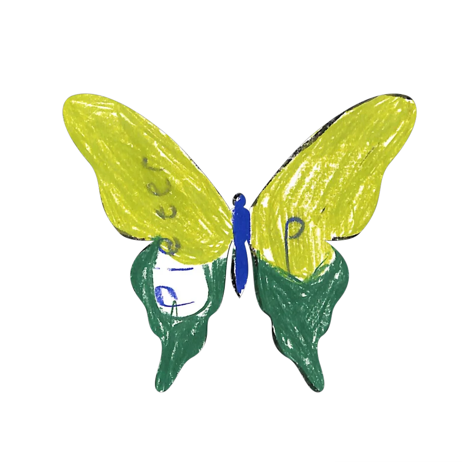 Original Butterfly Image