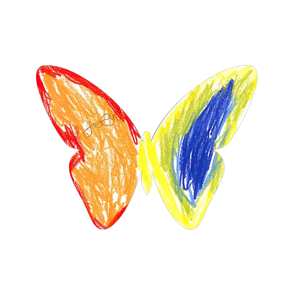 Original Butterfly Image
