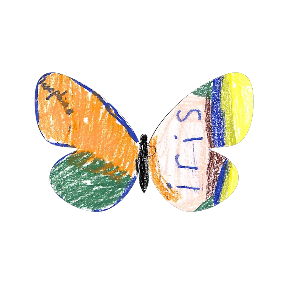 Original Butterfly Image
