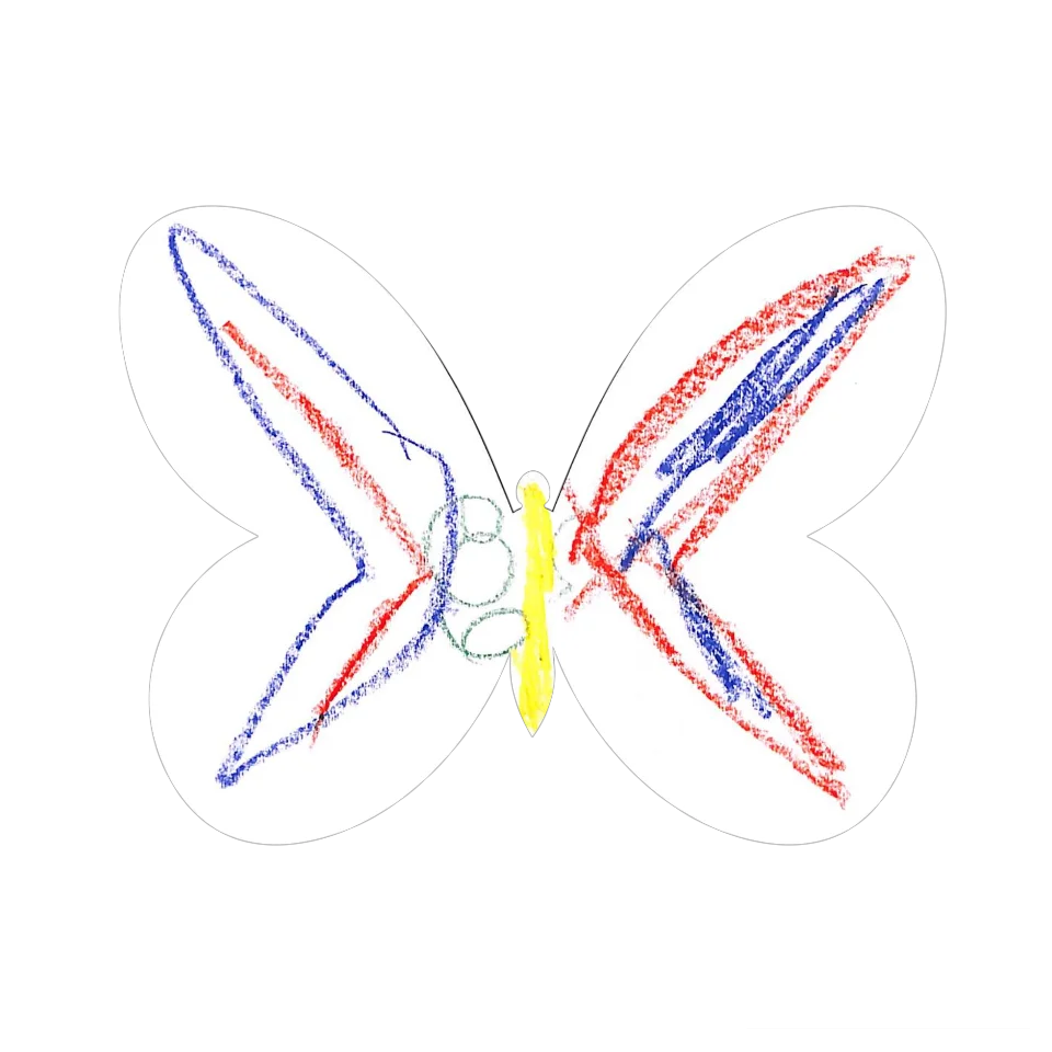 Original Butterfly Image