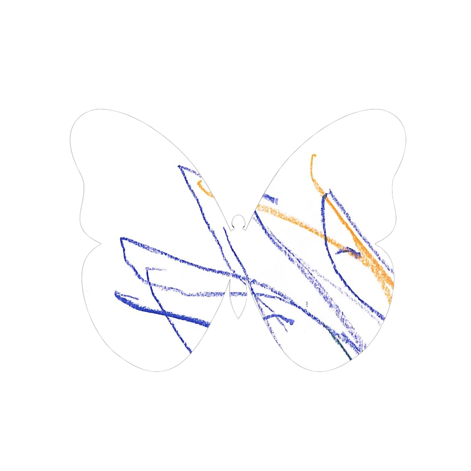 Original Butterfly Image