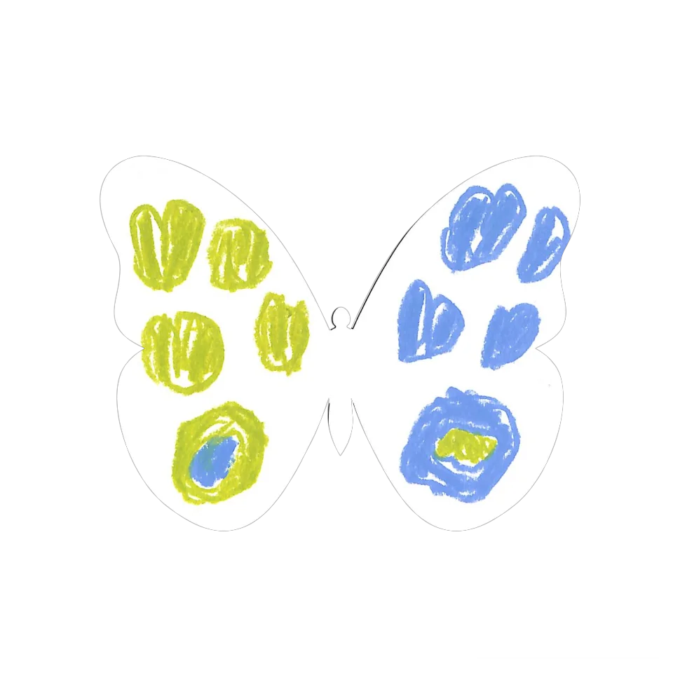 Original Butterfly Image