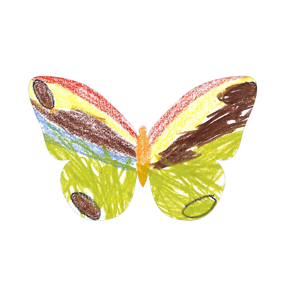 Original Butterfly Image