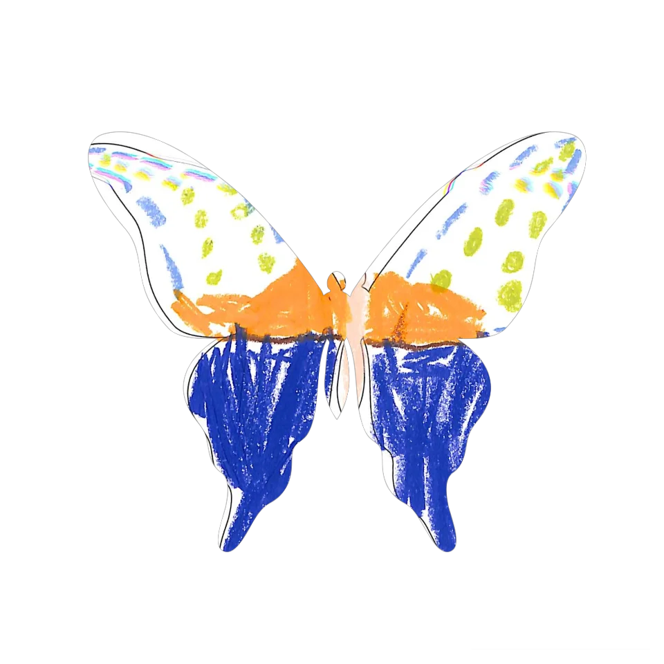 Original Butterfly Image