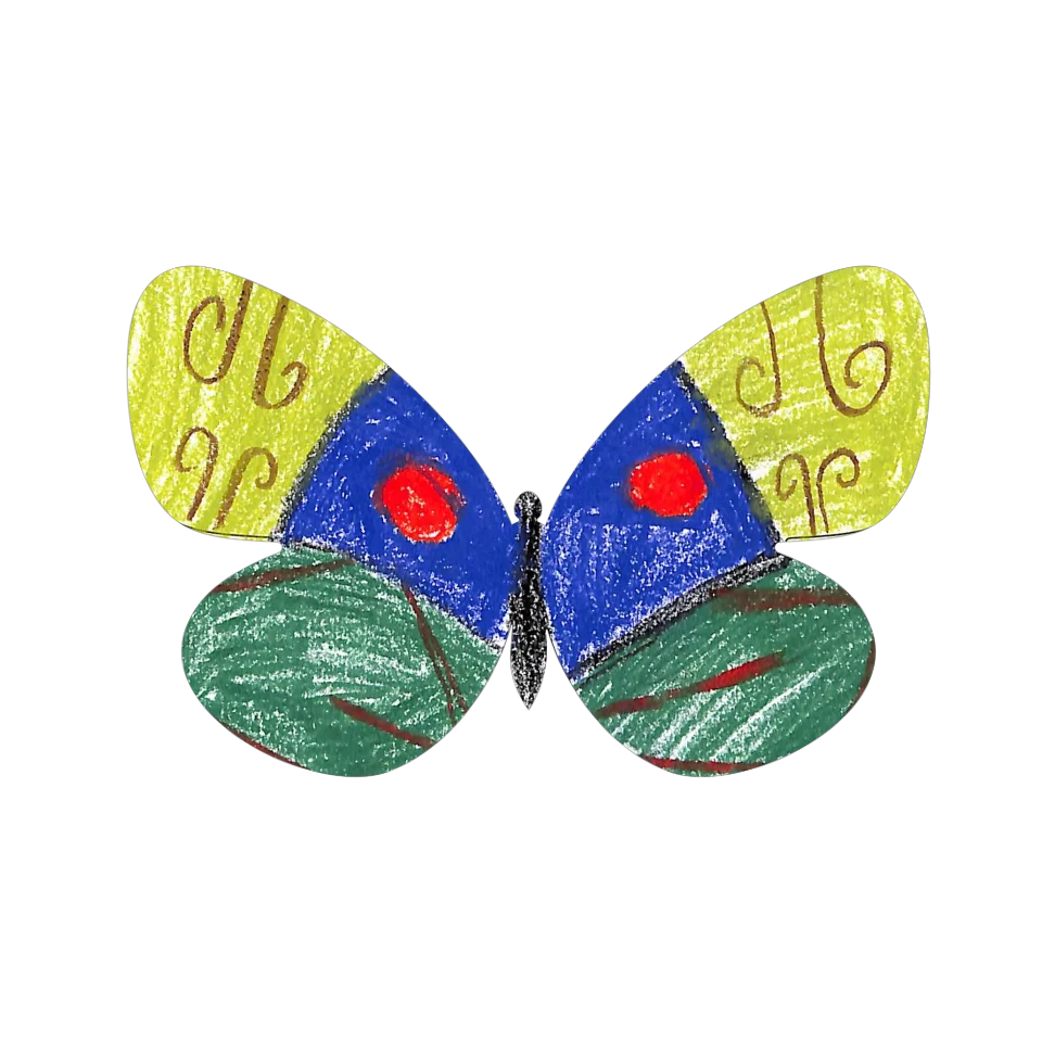 Original Butterfly Image