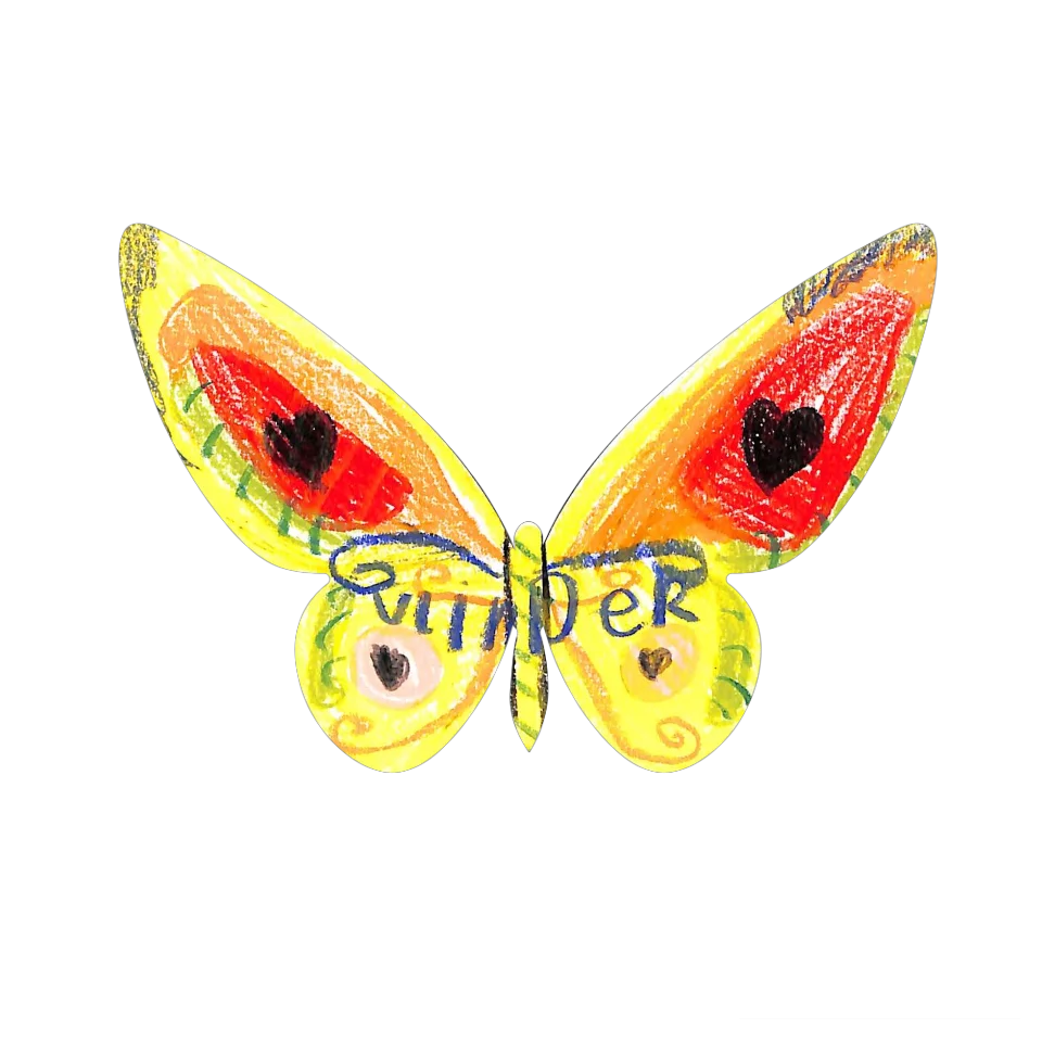 Original Butterfly Image