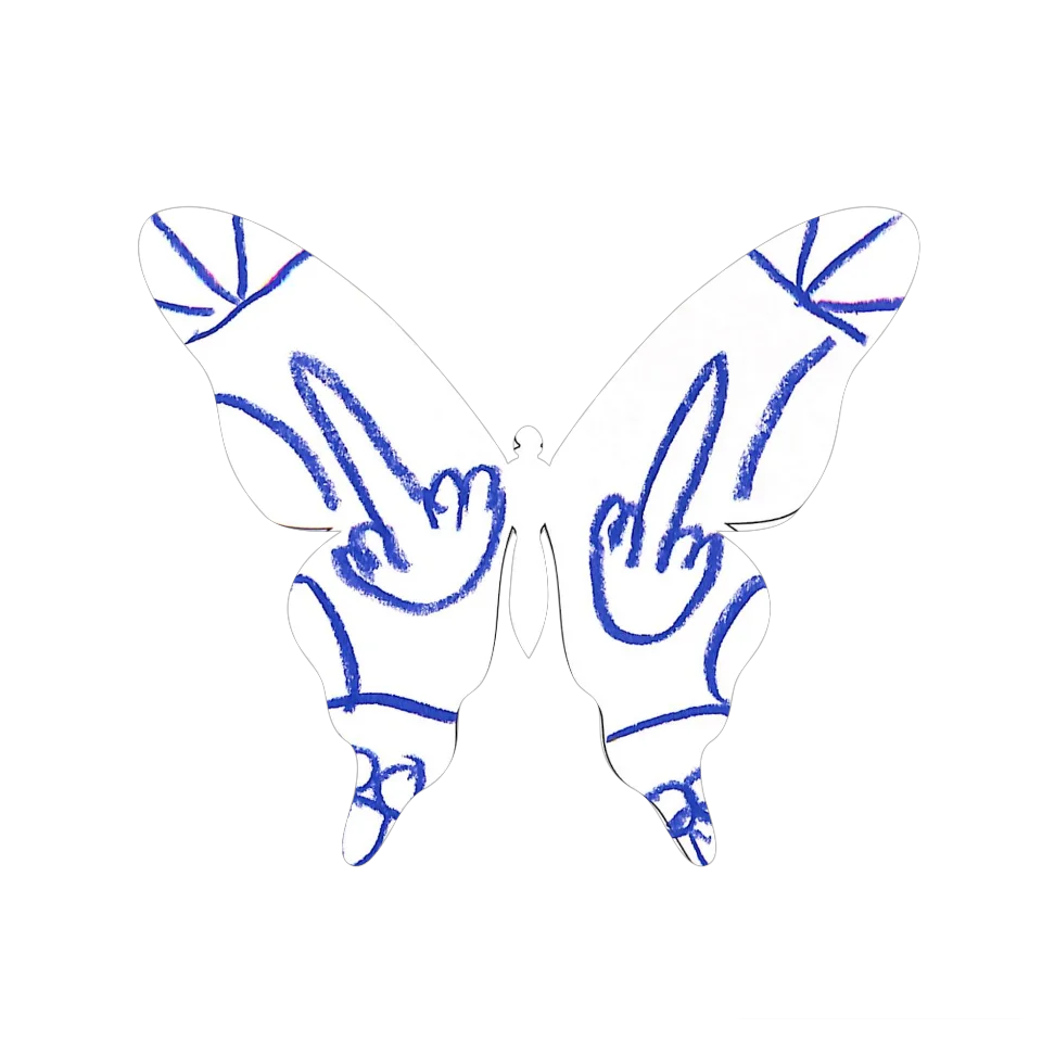Original Butterfly Image