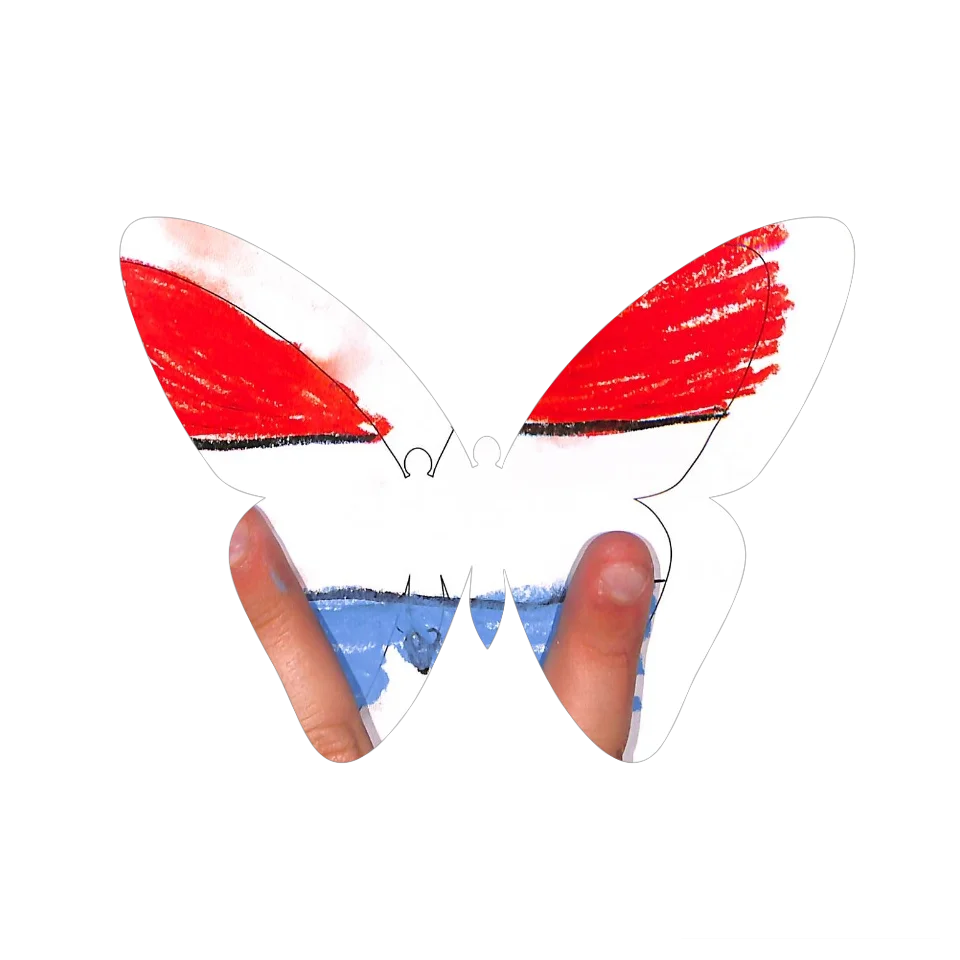 Original Butterfly Image