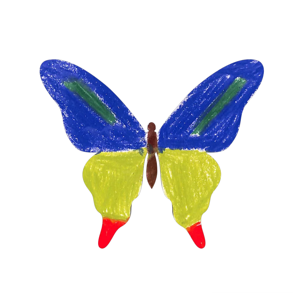 Original Butterfly Image