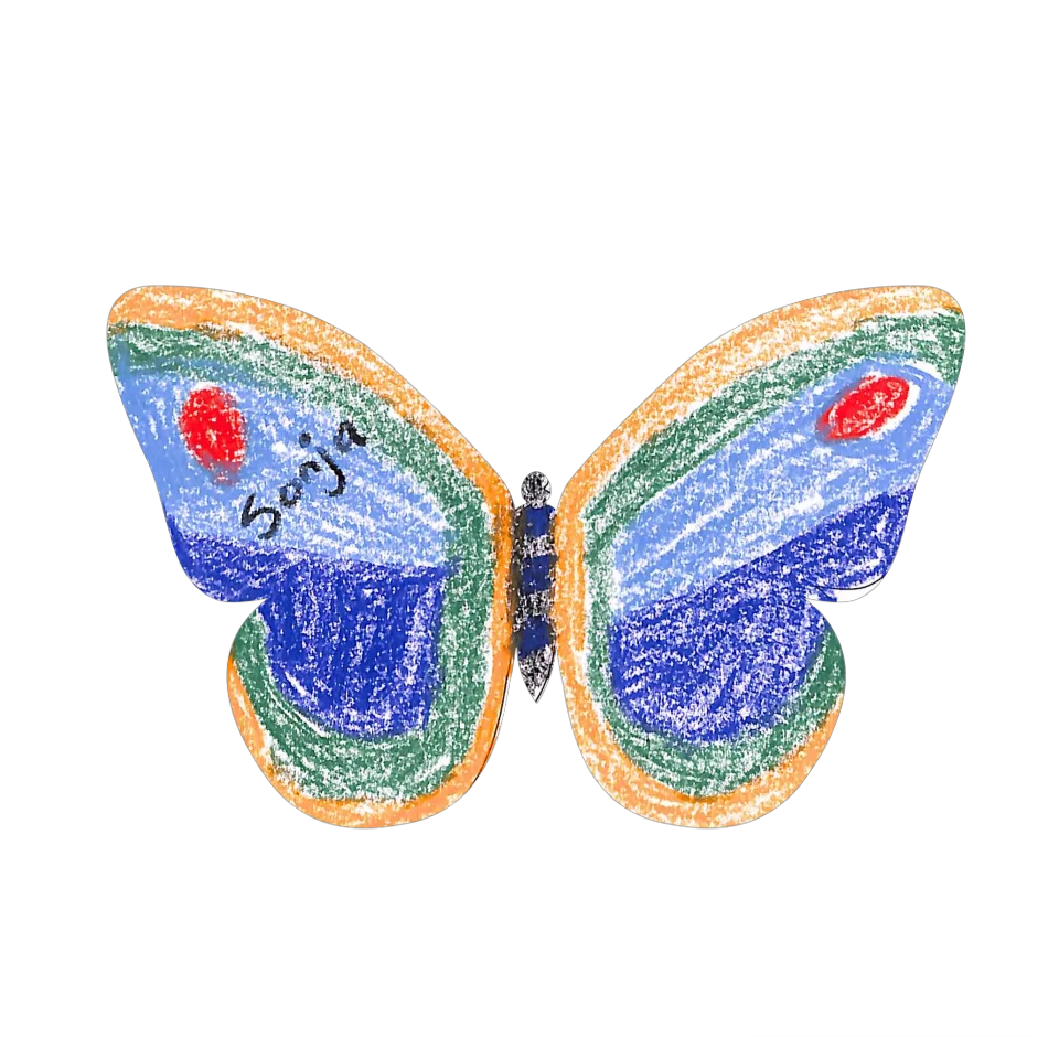 Original Butterfly Image