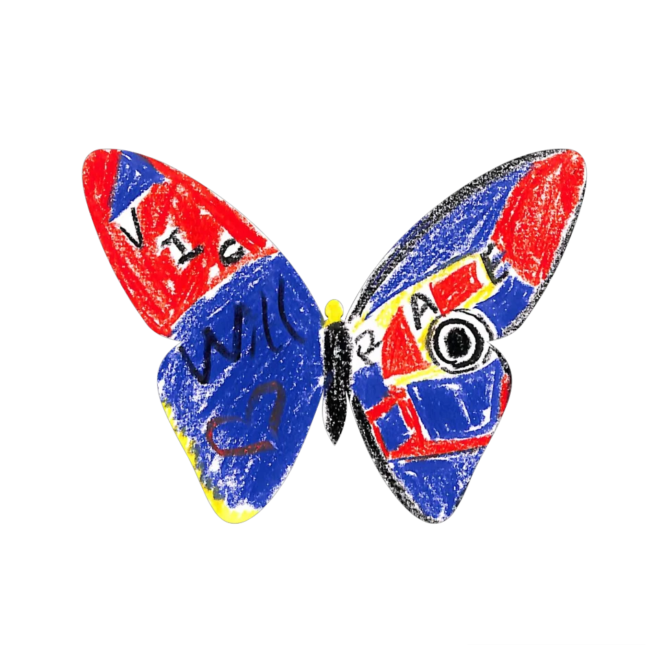 Original Butterfly Image