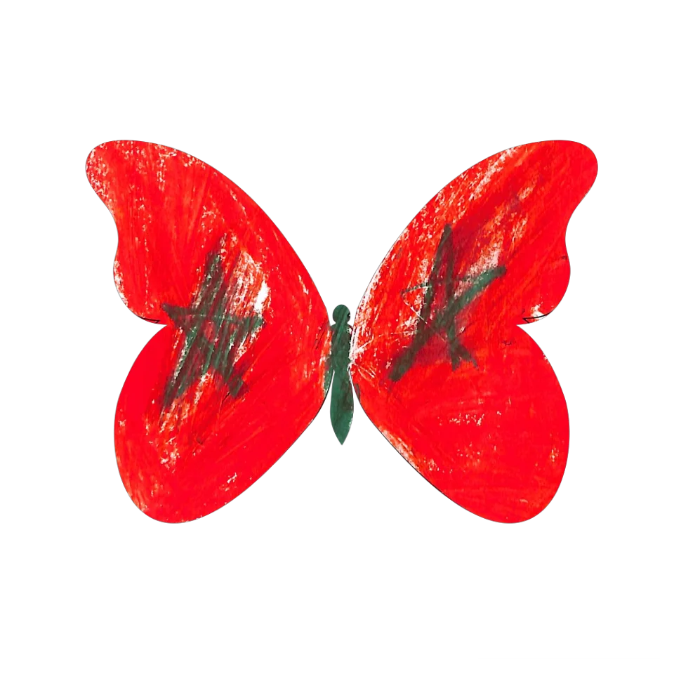 Original Butterfly Image
