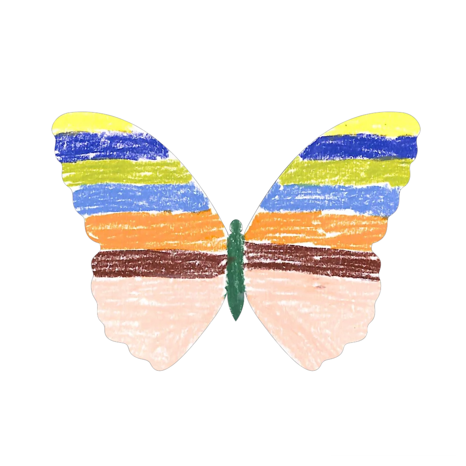 Original Butterfly Image