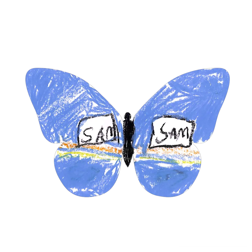 Original Butterfly Image