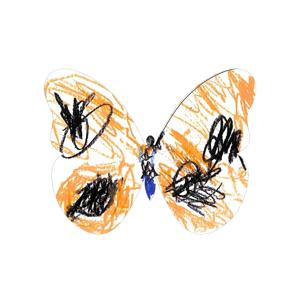 Original Butterfly Image