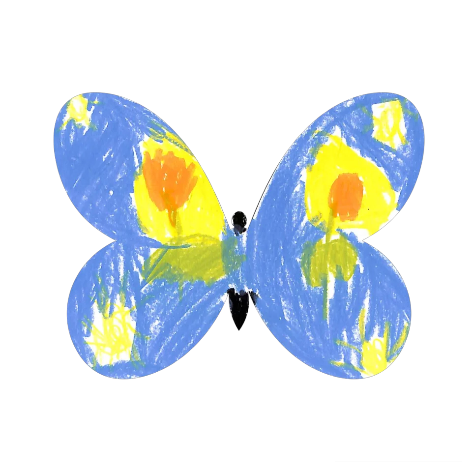 Original Butterfly Image