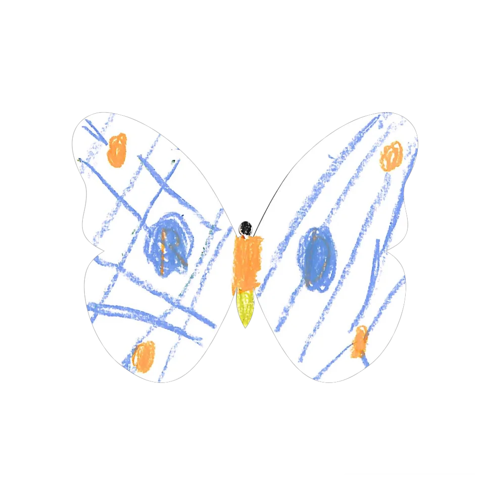 Original Butterfly Image
