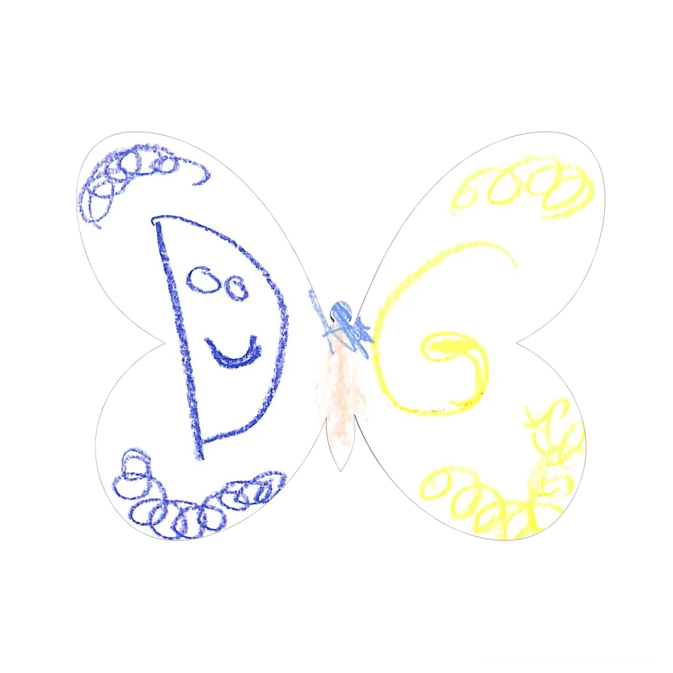 Original Butterfly Image