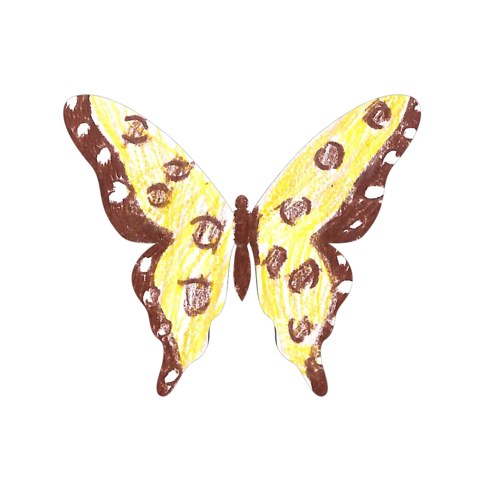 Original Butterfly Image