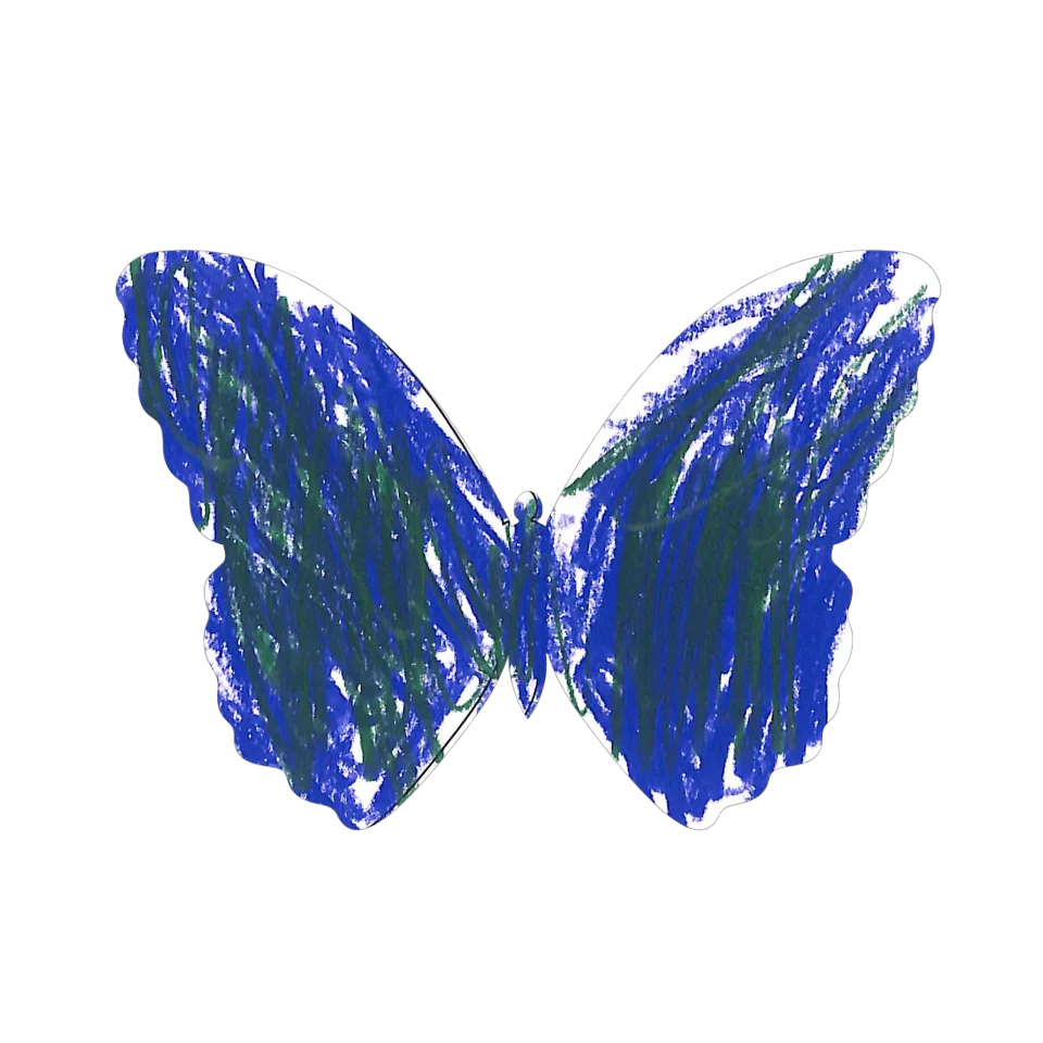 Original Butterfly Image
