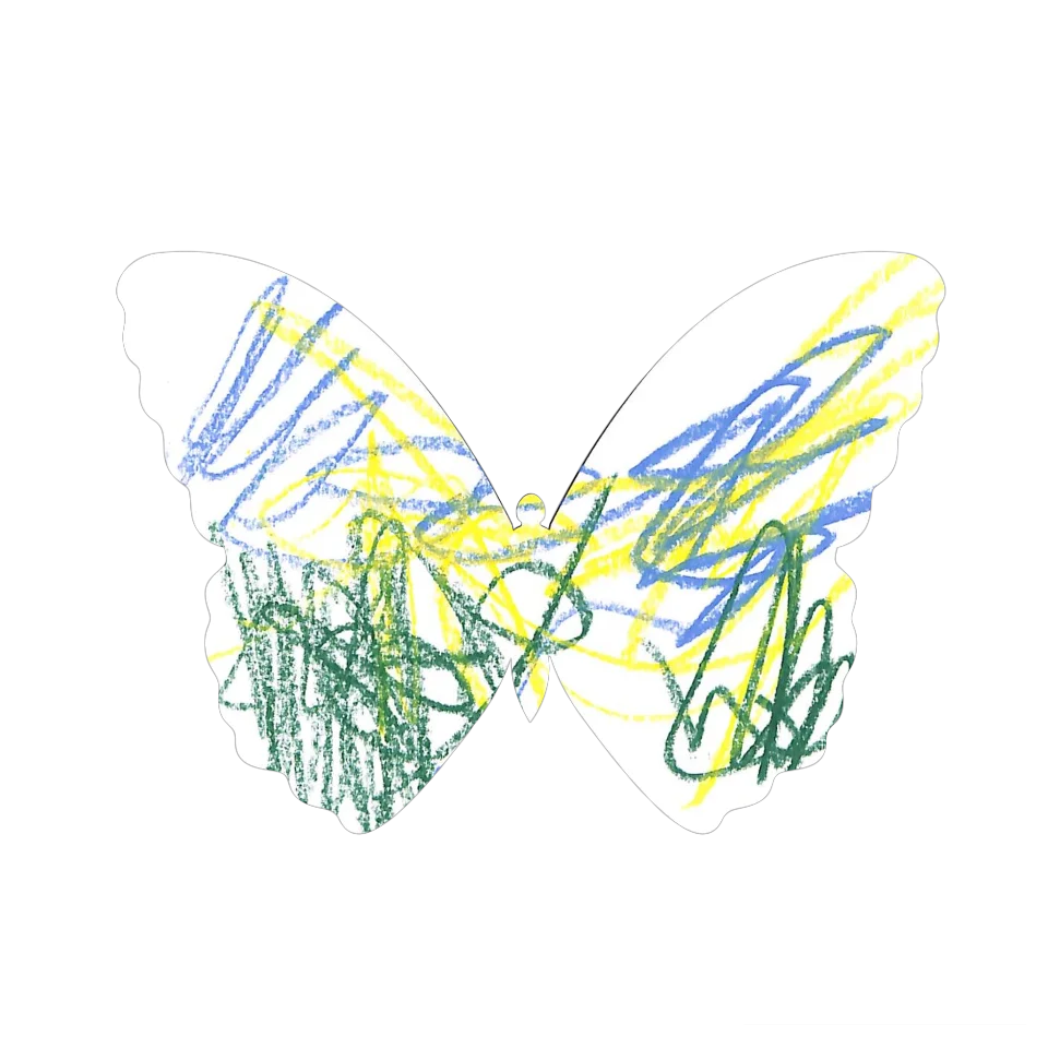 Original Butterfly Image