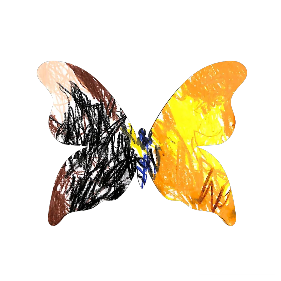 Original Butterfly Image