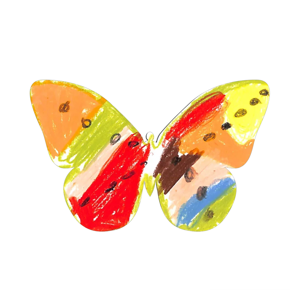 Original Butterfly Image