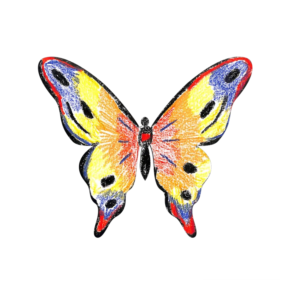Original Butterfly Image