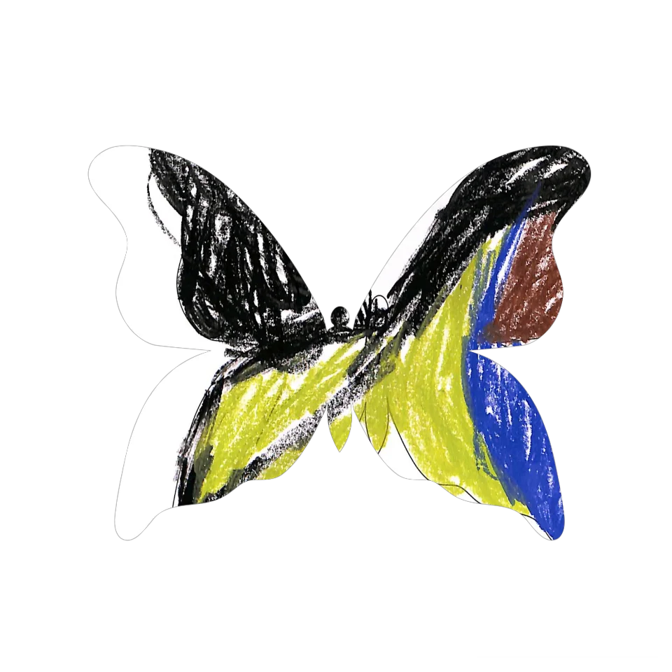 Original Butterfly Image