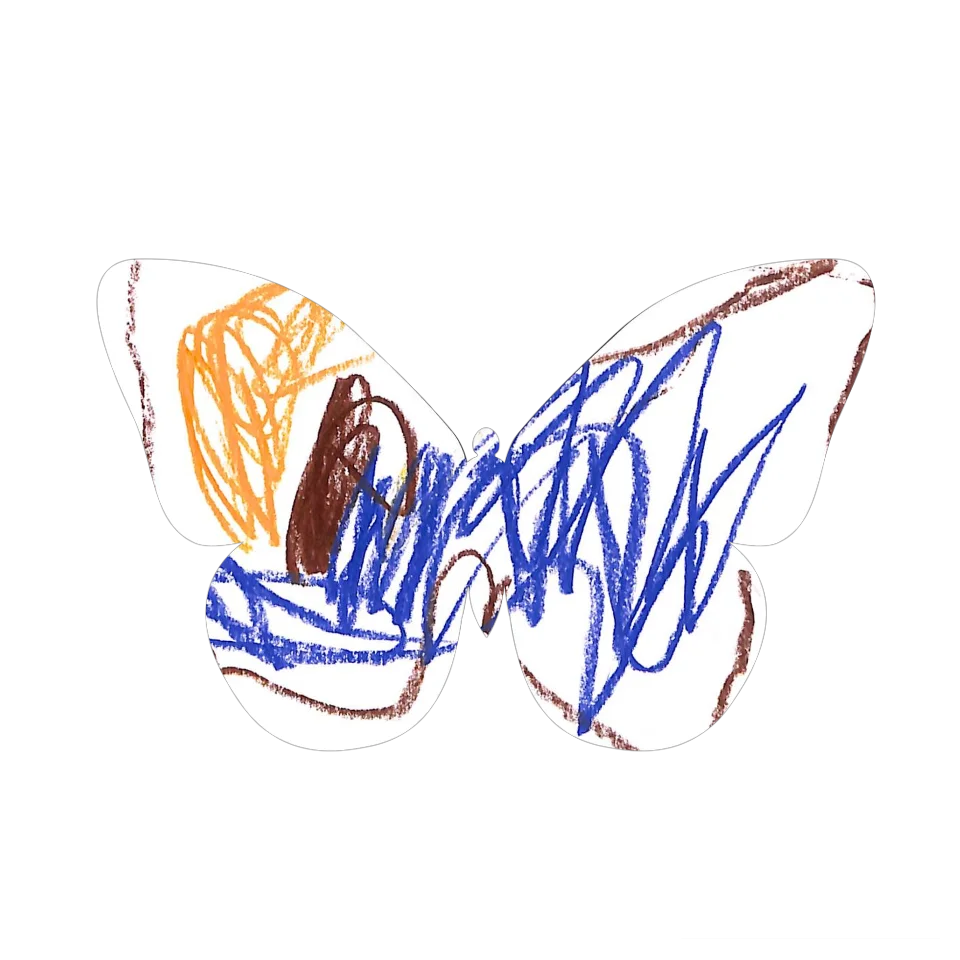 Original Butterfly Image